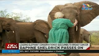 Leading elephant conservationist Daphne Sheldrick succumbs to breast cancer