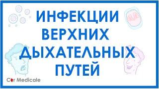 Инфекции верхних дыхательных путей