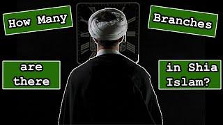 How Many Branches are There in Shia Islam?