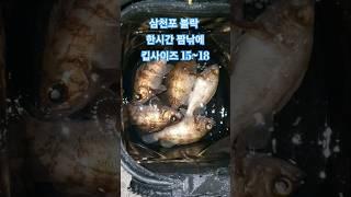삼천포 마지막 봄 볼락 낚시 한시간 짬짬낚에 킵사이즈 8마리 #볼락 #봄볼락 #삼천포볼락