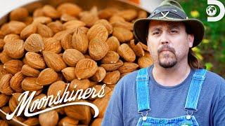 Best Fall Moonshine Flavors  Moonshiners | Discovery