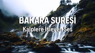 Bakara Suresi Dinle - Huzur ve Bereketin Kapılarını Aç | Kuran Dinle ve Öğren