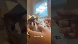 #zizi #cute #unboxingvideo #labubuunboxing #labubu (ignore the cam my dad was recording lolz)