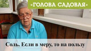 Голова садовая - Соль. Если в меру, то на пользу