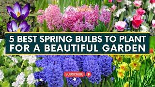 5 Best Spring Bulbs to Plant for a Beautiful Garden  // Gardening Tips