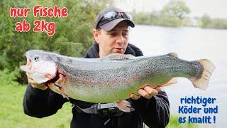 It's banging! Trout fishing with rubber bait Salmon trout fishing rubber bait at the trout lake U...