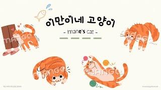 이만이네 고양이  ( imane's Cat silya )