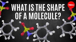 What is the shape of a molecule? - George Zaidan and Charles Morton