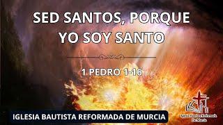 SED SANTOS PORQUE YO SOY SANTO - Pedro Fco. Pérez | IBRM