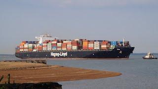 Shipspotting TENO - Hapag-lloyd containership - Port of Felixstowe 17/6/23