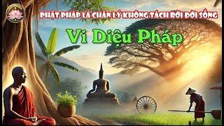 Phật Pháp & Đời Sống: Bí Quyết Bình An Qua Vi Diệu Pháp, Thiền chánh niệm