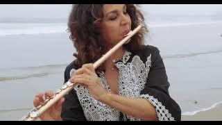 Erik Satie - Gnossienne No. 1 (Flute & Guitar by Furugh Karimi and Hamed Poursaee)