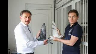 jos thone racing pigeons