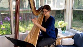 Beautiful Things, by Gungor (Harp Cover) - Stephanie Claussen