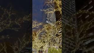 Zuccotti Park at Night | Downtown Manhattan, New York City #newyorkcity #manhattan #nightview