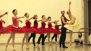 【Adult Ballet / 成人芭蕾舞】-- Gala Performance 2015 Highlights vol.5