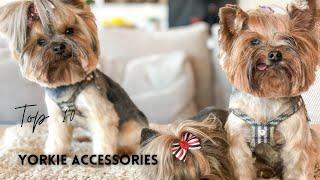 Small Dog Accessories You Need For Your Yorkshire Terrier Puppy |Top 10