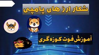 شکار ارز های پامپی/چطوری قبل از پامپ یک ارز رو شناسایی کنیم؟/ارز های پامپی رو خودت پیدا کن