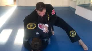 Brazilian Jiu Jitsu White Belt Basics