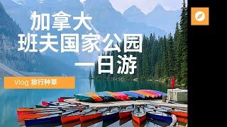 【Vlog】旅行种草 - 加拿大班夫公园一日游