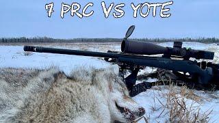 7 PRC vs Coyote