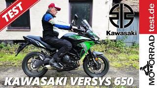 Kawasaki Versys 650 | Test 2024 (deutsch)