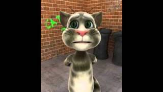 Af Sing Tom cat