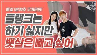 뱃살코어운동 플랭크할 때 허리 아팠어요? 플랭크 전 해야 할 필수운동ㅣ다노티비