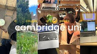 CAMBRIDGE UNI VLOG | studying before exam term