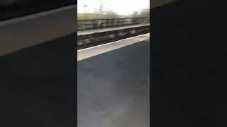 Bella Ruby and Storm at Kirkby Stephen Train Station