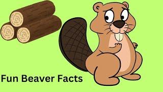 The Secret Life of Beavers: Amazing Facts Revealed!