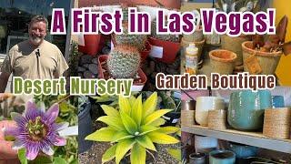 Mojave Bloom Las Vegas, Desert Nursery and Boutique Garden Shop #cactus #desertplants