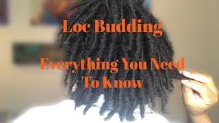 Budding Starter Locs | Everything You Need to Know About Loc Budding