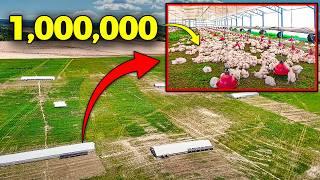 Raising Over a MILLION Chickens a Year | Pasturebird Farm Tour