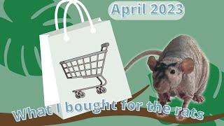 What I bought for the rats| April '23| Haul Video