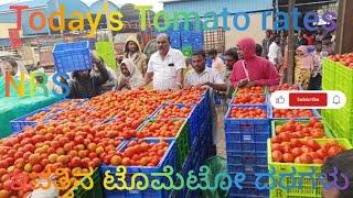June 19, 2025 today's Tomato rates at NRS Mandi, Vaddahalli Market, Mulbagal, india