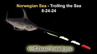 Russian Fishing 4, Norwegian Sea - Trolling the Sea 8-24-24