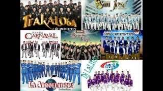 Bandas Mix - Banda Ms, La Arrolladora, La Adictiva, Carnaval