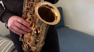 1967 Selmer Mark VI Alto Saxophone video demo, www.dcsax.com