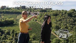 Gravner Winery Tasting! (Italian Wine Podcasts' 'On the Road Edition' with Stevie Kim) Travel Italy