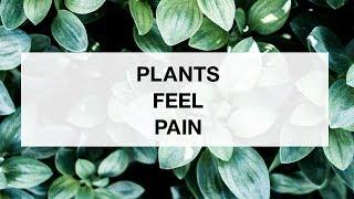 Plants Feel Pain