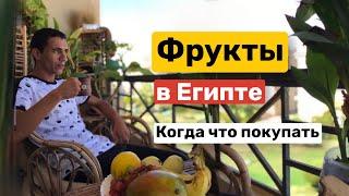 Фрукты в Египте. О сезонности фруктов, советы когда и что покупать.