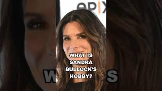 What is Sandra Bullock's hobby? #hobby #wantsee