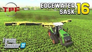 Rocking & Rolling! - Edgewater Sask. #16 - Farming Simulator 22