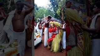 Pallikkunnu Puthiya Purayil Tharavaadu Sree Kurumba Bhagavathi Kshethram - GulikanTheyyam - 2