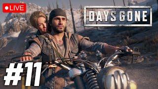 Days Gone - Can I Survive in Zombieland?  Live Stream