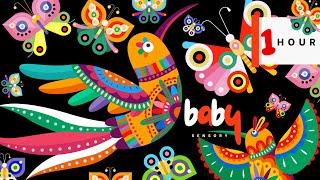 Bright Baby Sensory Nordic BIRDS + BUTTERFLIES! High Contrast Video Bach for Baby Brain Development