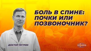 Боль в спине : почки или позвоночник?