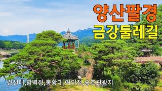  양산팔경 금강둘레길 트레킹 |  강선대, 함벽정, 봉황대, 여의정, 송호관광지  | 충청북도 영동