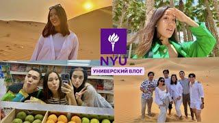 МОЯ СТУДЕНЧЕСКАЯ ЖИЗНЬ В NYUAD